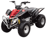 ATV/Quad (WJ200ST)