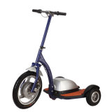 Electric Scooter (ES35012)