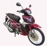 Economic 110cc Cub Motorcycle (JL110-21)