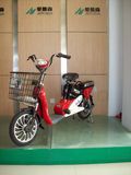 E-Bike (Butterfly TDR07179)