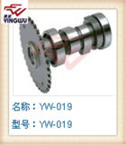 Free Shiping, Fast Shipment, Motorcycle Parts for Engine Cg-125