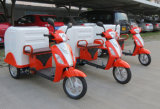 500W~800W Electric Mobility Scooter for Cargo (CT-022)
