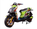 2000W Adult Racing Electric Motorcycle (EM-002)