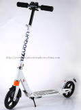 Urban Scooter with High Quality (YVS-001)