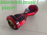 250W36V Lithium Battery Electric Scooter with Bluetooth