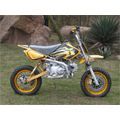 Dirt Bike (TP-DT010) 110cc 4 Stroke