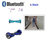 2 Wheel Self Balancing Smart Electric Scooters with Protection Bar