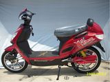 Electric Scooter DL009