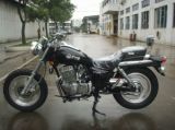 FYM Motorcycles (250CC)
