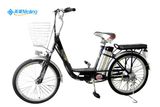 Lithium Electric Bike