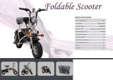 Foldable Scooter (YM006)