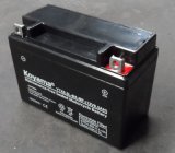 New Arrival Portable 12V 6.5ah Motorcycle Battery/ OEM 12V 6.5ah Ytx6.5L-BS Charger Gel Motorcycle Battery