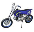 Dirt Bike 4 Stroke, 110cc (TP-DT014)