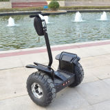 Two Wheels Self Balancing Mobility Scooter, Fashion Ecorider Standing Electric Chariot Scooter for Adults