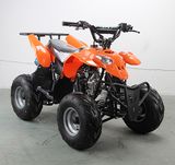 50cc, 70cc, 90cc, 110cc Kids Quad Bike, Mini ATV Quad for Sale Cheap