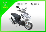 New Patent Model 150cc Motor Scooter (Spider-150)