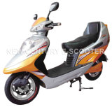 Electric Scooter (NC-55)