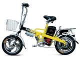 Electric Bike (FPE-009) 