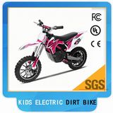 Mini Dirt Bike