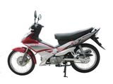 CUB Bike SKC110-7(V)