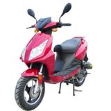 Eec Scooter (HL50QT-21(18))