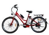 Electric Bike/Bicycle/Scooter (TDF03Z)