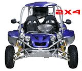 250CC Buggy (KWGK-250DS(1))