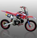 125CC Top Quality Dirt Bike / Pit Bike (BKGS-F04M-2)