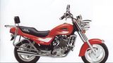 Motorcycle JL250