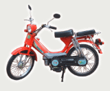 Motorcycle(ZJ35-D1)