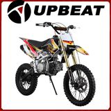 Upbeat Pit Bike 125cc Dirt Bike 140cc Dirt Bike 150cc Dirt Bike New Model Crf110 Plastic