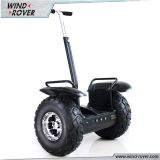 High-Tech 2 Wheel Self Balance Electric Scooter with CE