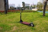 Aluminum Electric Scooter