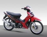 CUB Bike SKC110-7(IV)