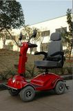 Electric Scooter CF-Ms009