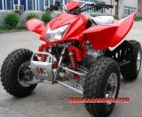 200cc/250cc Water Cooled ATV Quad (HONDA Style)