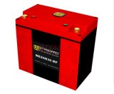 W-Standard Lithium Battery Wex6r36-Mf