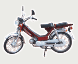 Motorcycle(ZJ48-A)