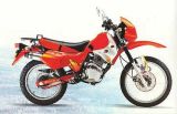 Dirt Bike 200 with Inventory in USA