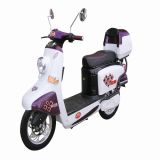 Electric Scooter (TDR48K108)