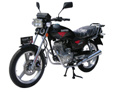 Motorcycle DFE125-11