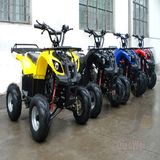 125CC ATV Quadbike Hunter with Front and Rear Rack (QW-ATV-02C)