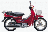 Motorcycle (QJ100-4)