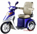 CE Electric Trike (AG-01)