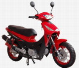 Motorcycle (QH110-7)