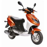 Gas Scooter (YL50QT-21D)
