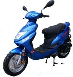 San You 50cc Gasoline Scooter (SY50QT-6)