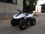 49cc Mini Quad ATV
