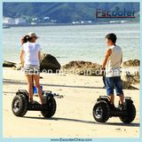 CE Approved Two Wheel Electric Chariot, Electric Scooter X2