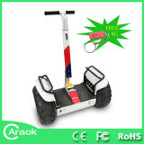 Stably Brush Motor Mobility Scooter Ca1600b